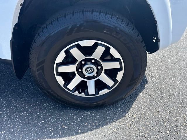 JTEBU5JR2J5574428
