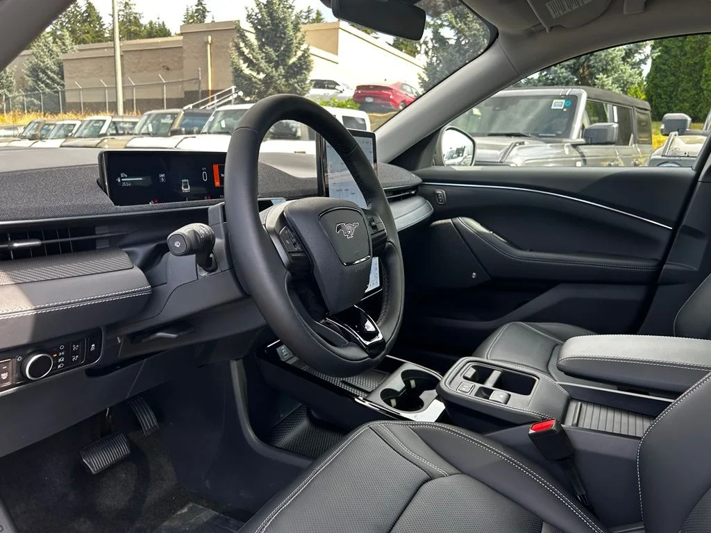 New 2026 Shadow Black Ford Premium image 12