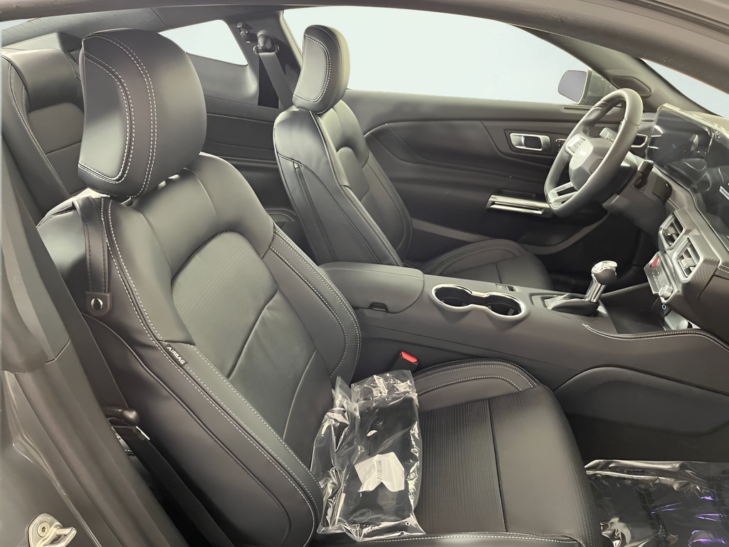2026 Ford Mustang EcoBoost Premium Fastback - Photo 10