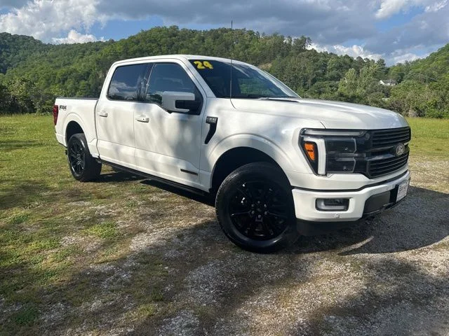 Used 2024 White Ford Platinum image 2