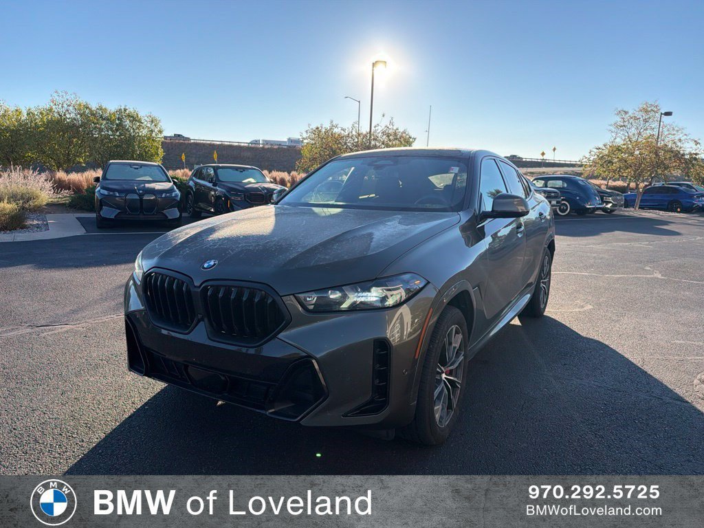 2024 BMW X6