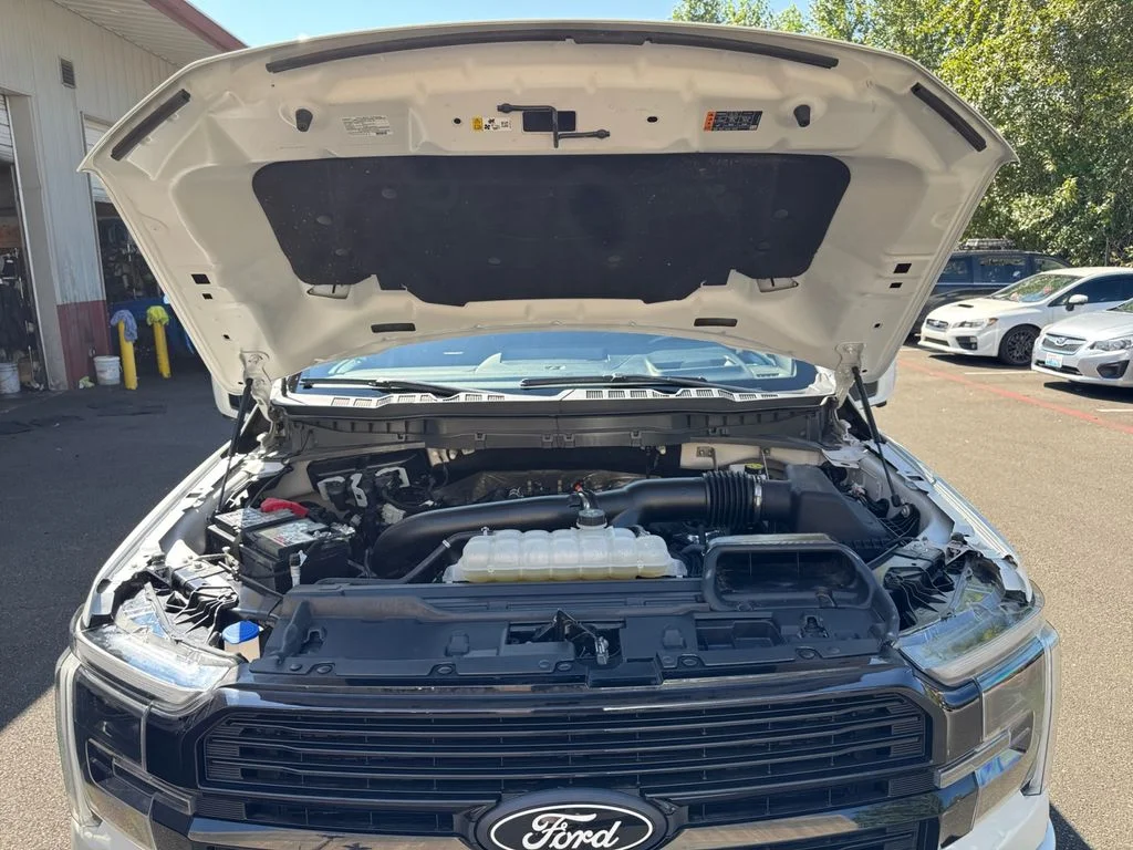 Used 2025 White Ford Platinum image 19