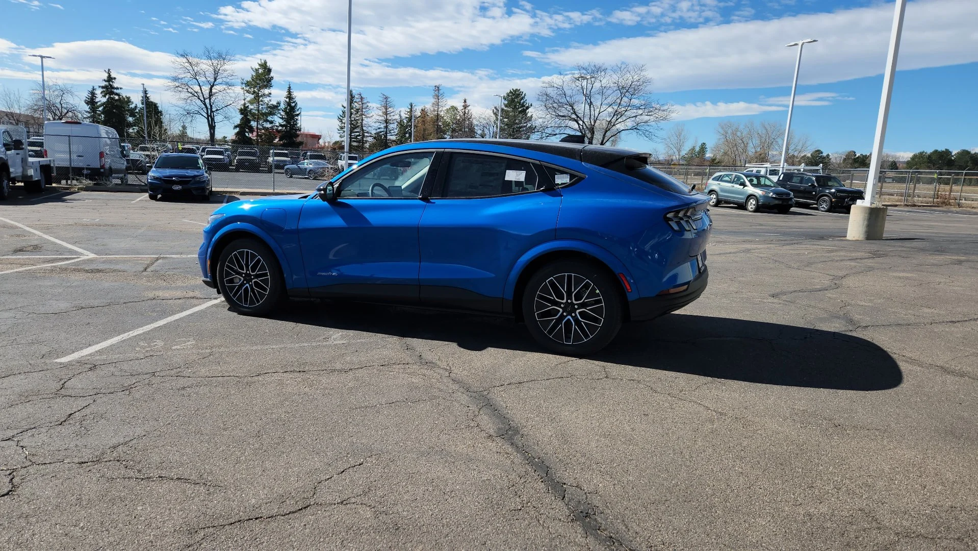 New 2026 Velocity Blue Metallic Ford Premium image 7