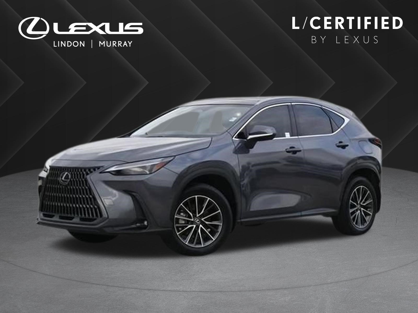2025 Lexus NX Hybrid