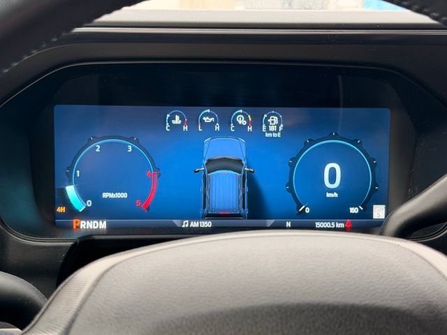 Used 2025  Ford Platinum image 4