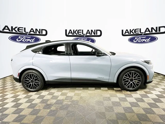 New 2026 Gray Ford Premium image 2