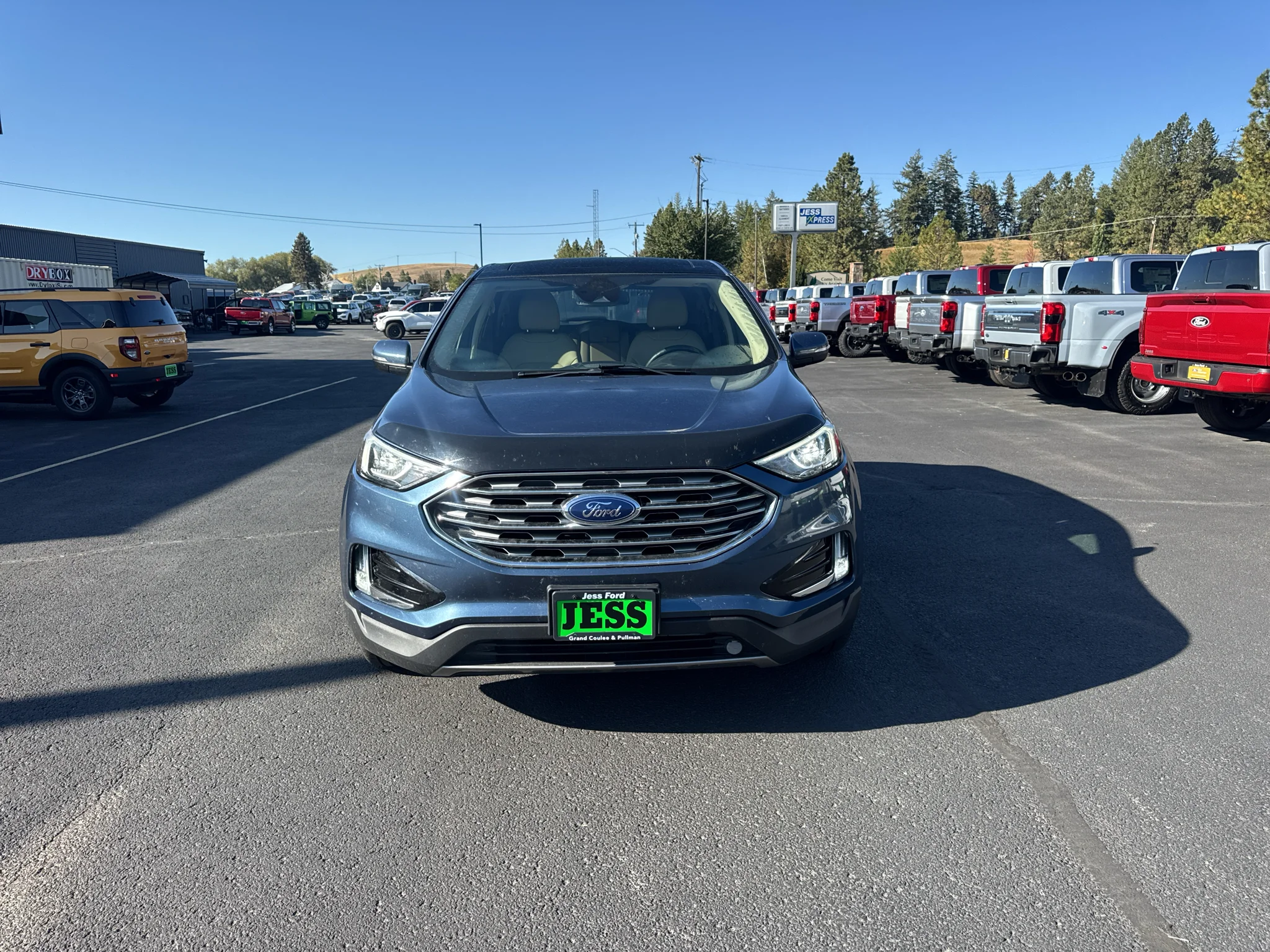 Used 2019 Blue Metallic Ford SEL image 12