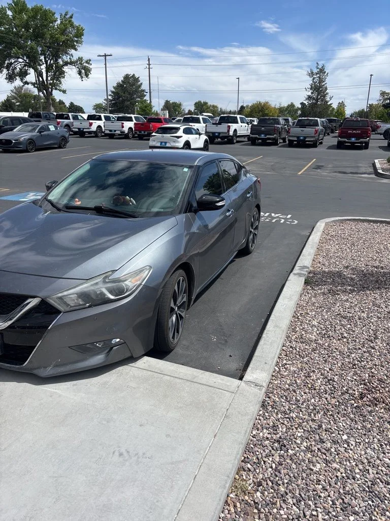 2016 Nissan Maxima 3.5 SR's photo