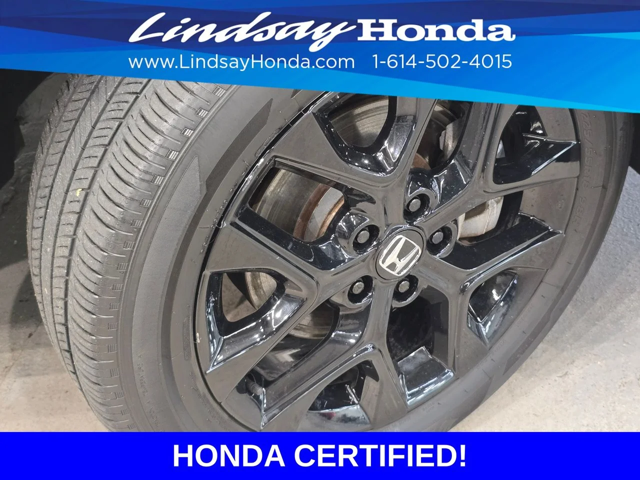 Certified Used 2024 Nordic Forest Pearl Honda Sport image 26