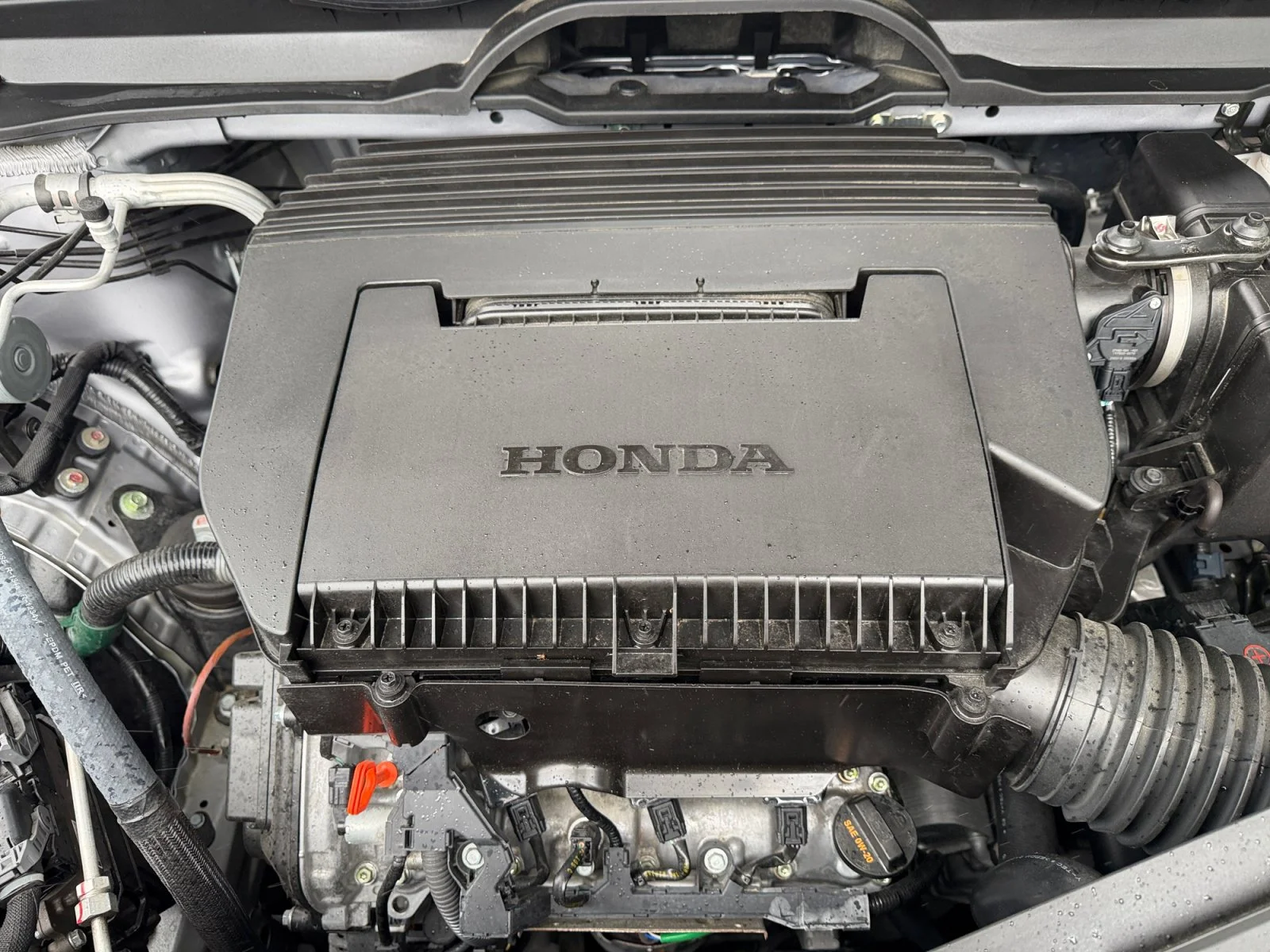 Used 2025 Silver Honda Elite image 7