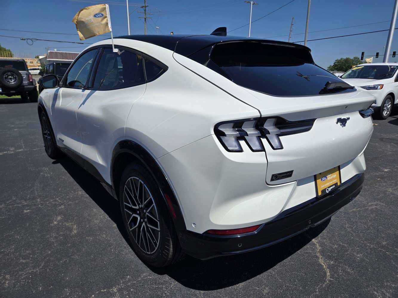 Used 2024 White Ford Premium image 7