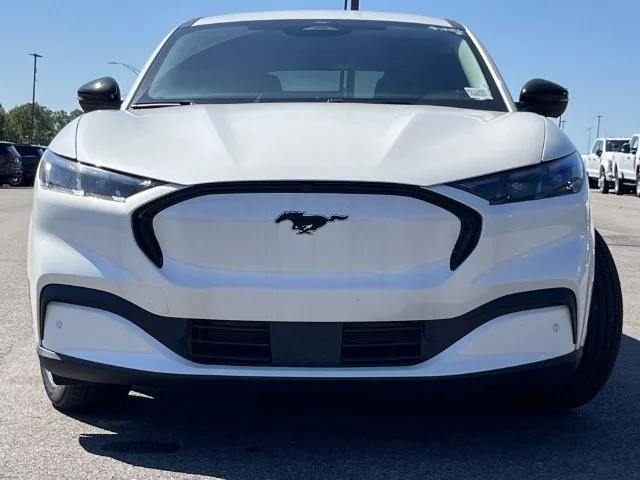 New 2026 White Ford Premium image 7