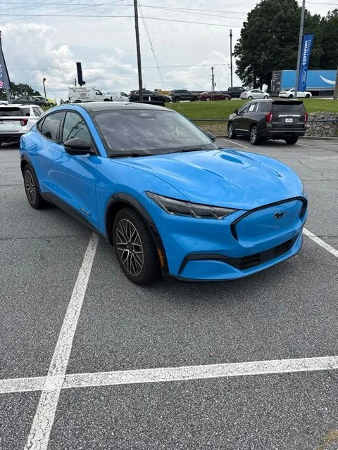 Used 2024 Grabber Blue Ford Premium image 1