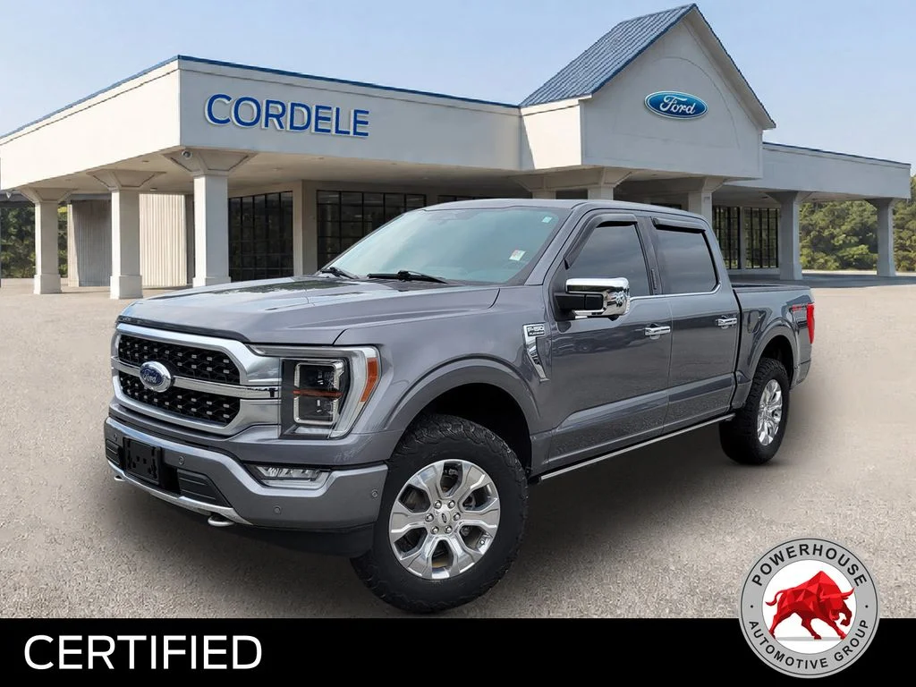 Used 2023 Gray Ford Platinum image 1