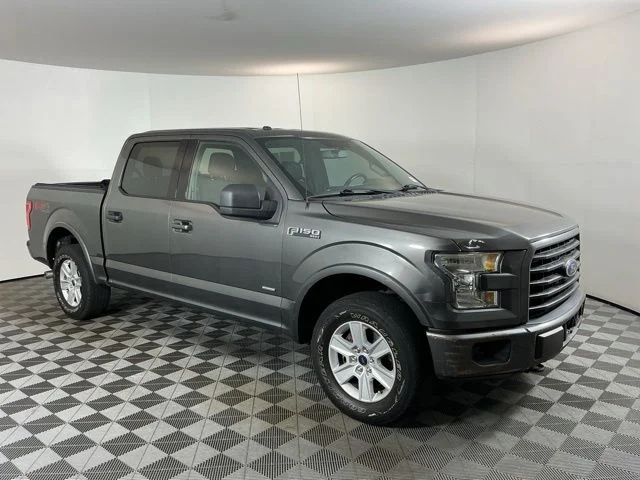 Used 2016 Gray Ford  image 3