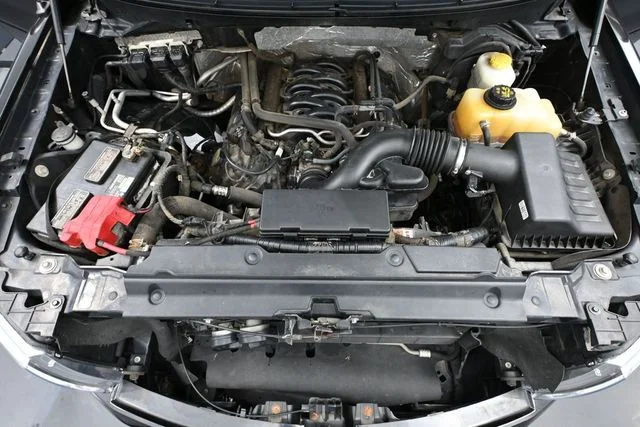 Used 2014 Black Ford STX image 43
