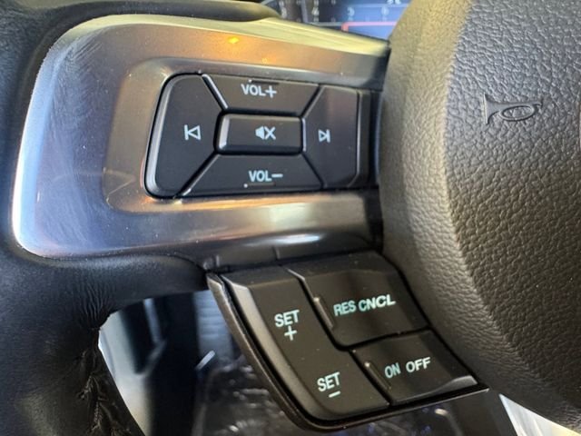 Used 2023 Gray Ford Mach 1 image 7