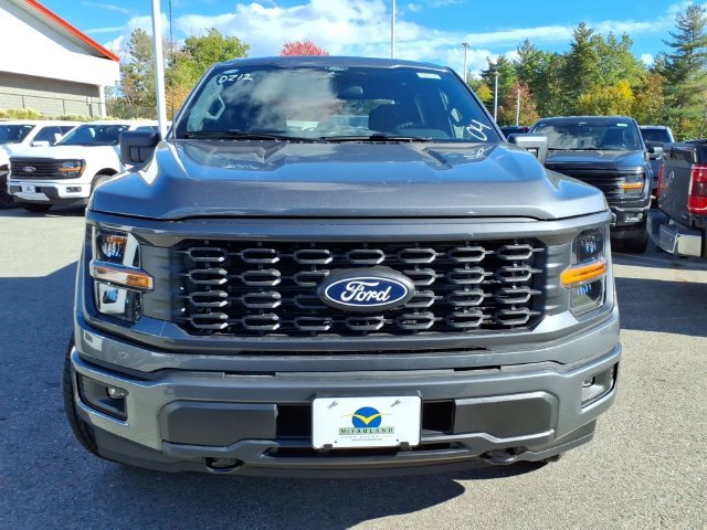 New 2026 Gray Ford STX image 2