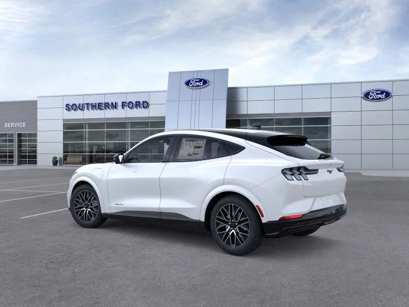 New 2025 White Ford Premium image 4
