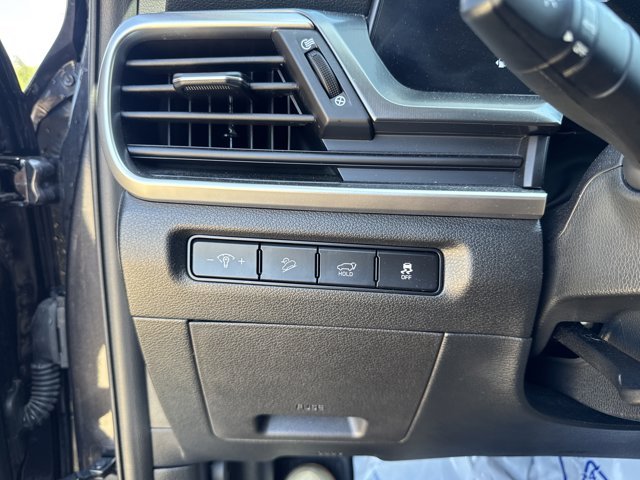 Used 2025 Panthera Metal Kia S image 24