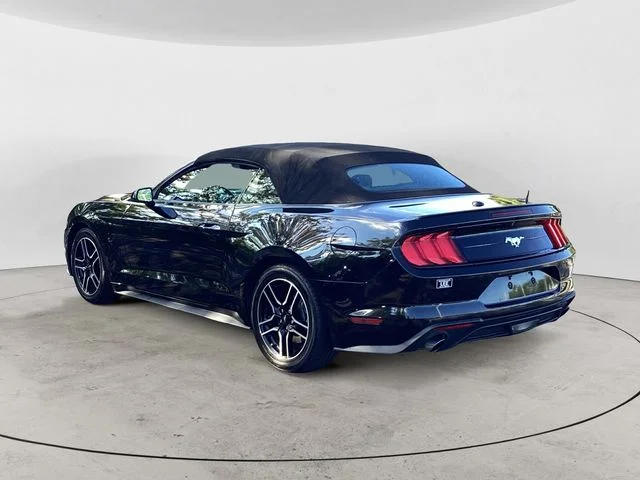 Used 2022 Shadow Black Ford Ecoboost Premium image 3