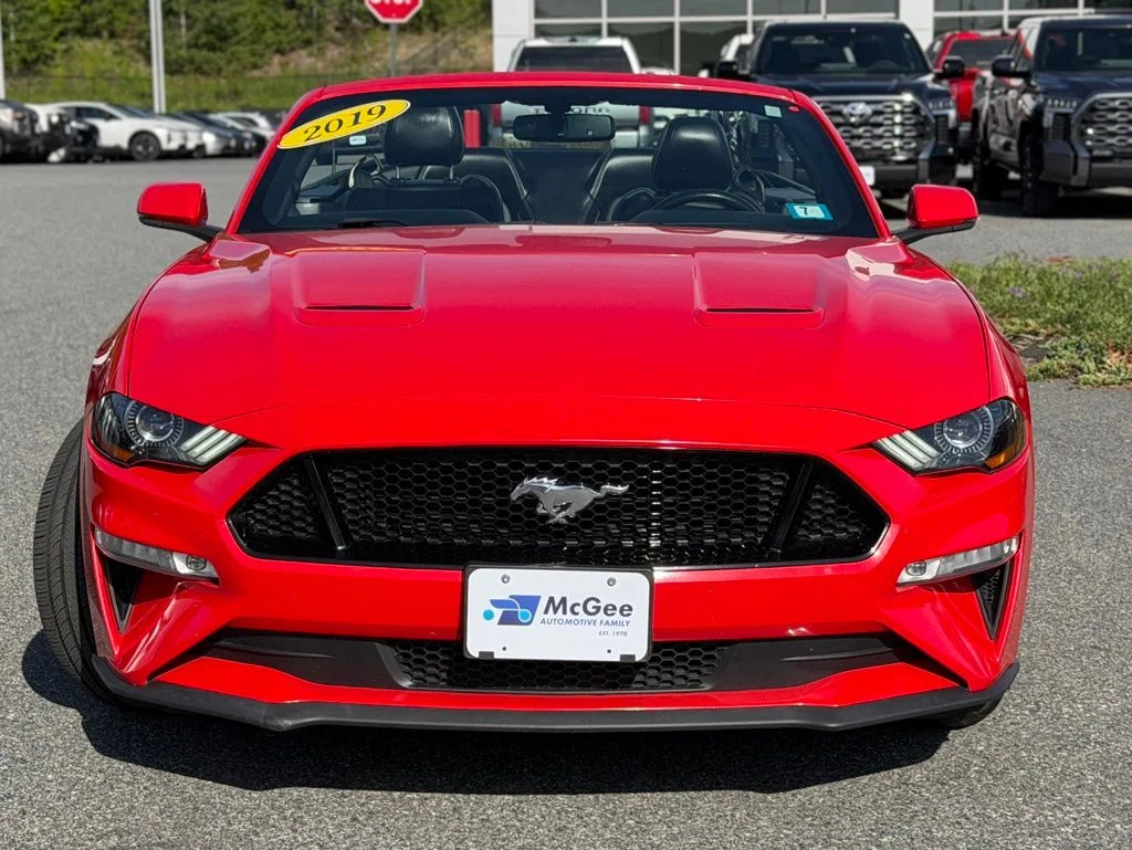 Used 2019 Red Ford GT Premium image 2