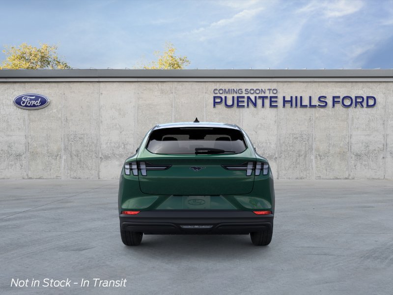 New 2026 Eruption Green Metallic Ford Premium image 5