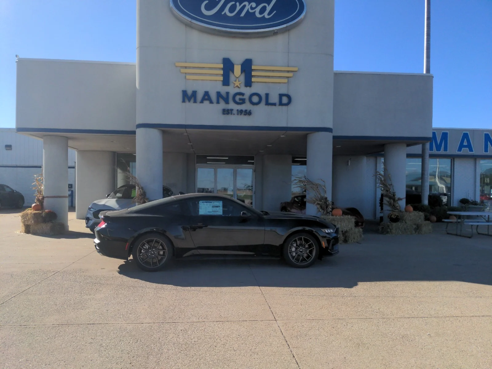 2024 Ford Mustang GT Premium Fastback's photo