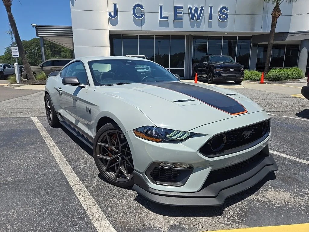 Used 2022 Fighter Jet Gray Ford Mach 1 image 1