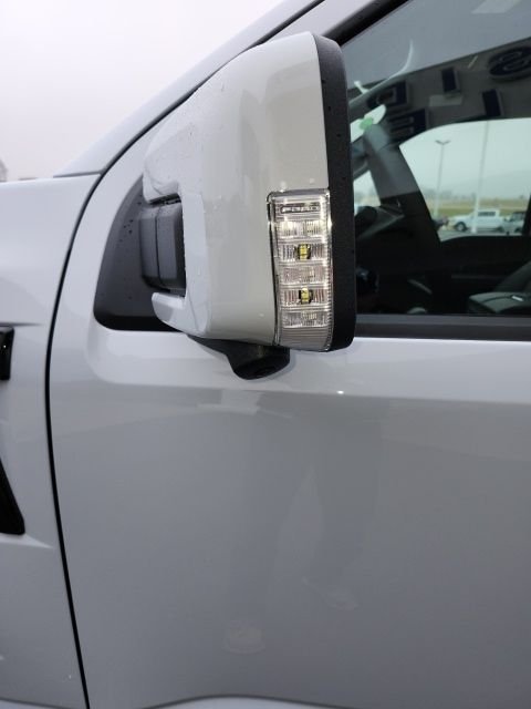 2025 Ford F-150 Platinum - Photo 9