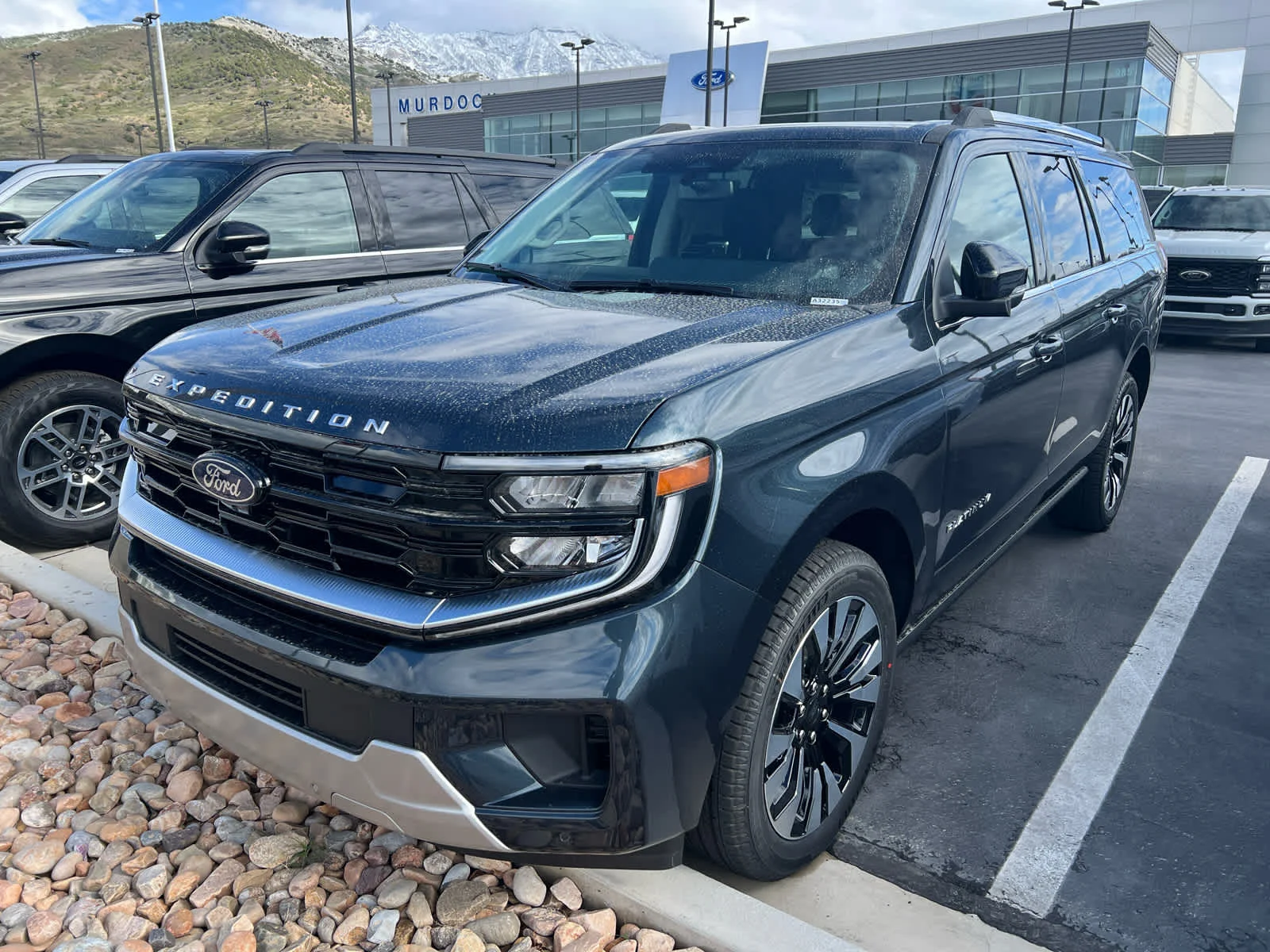 2026 Ford Expedition Platinum MAX 4x4's photo