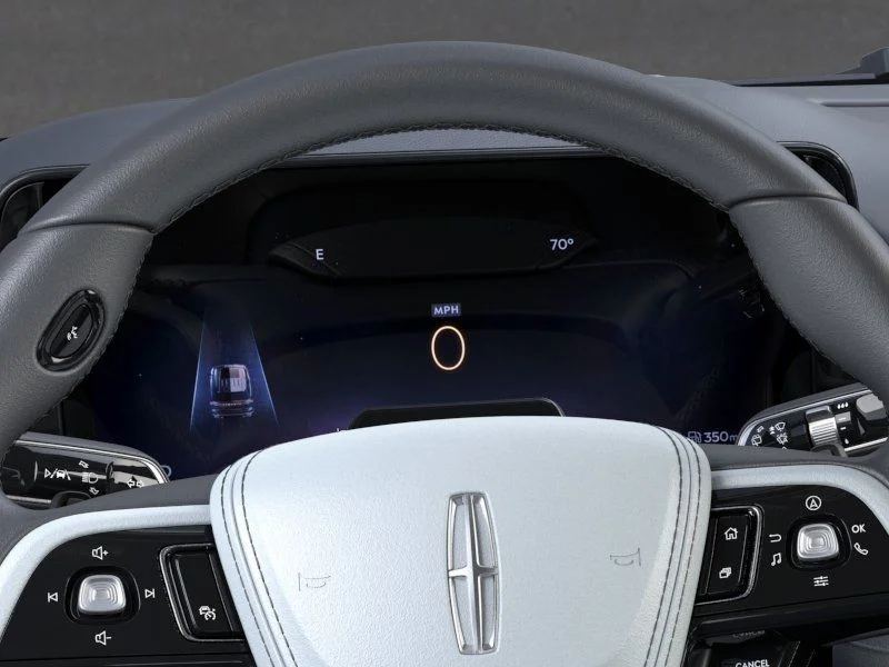 New 2026 Blue Lincoln Black Label image 14