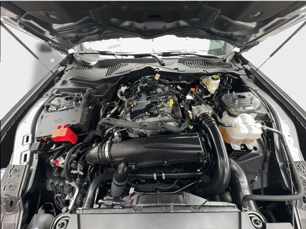 Used 2026 Gray Ford EcoBoost Premium image 19