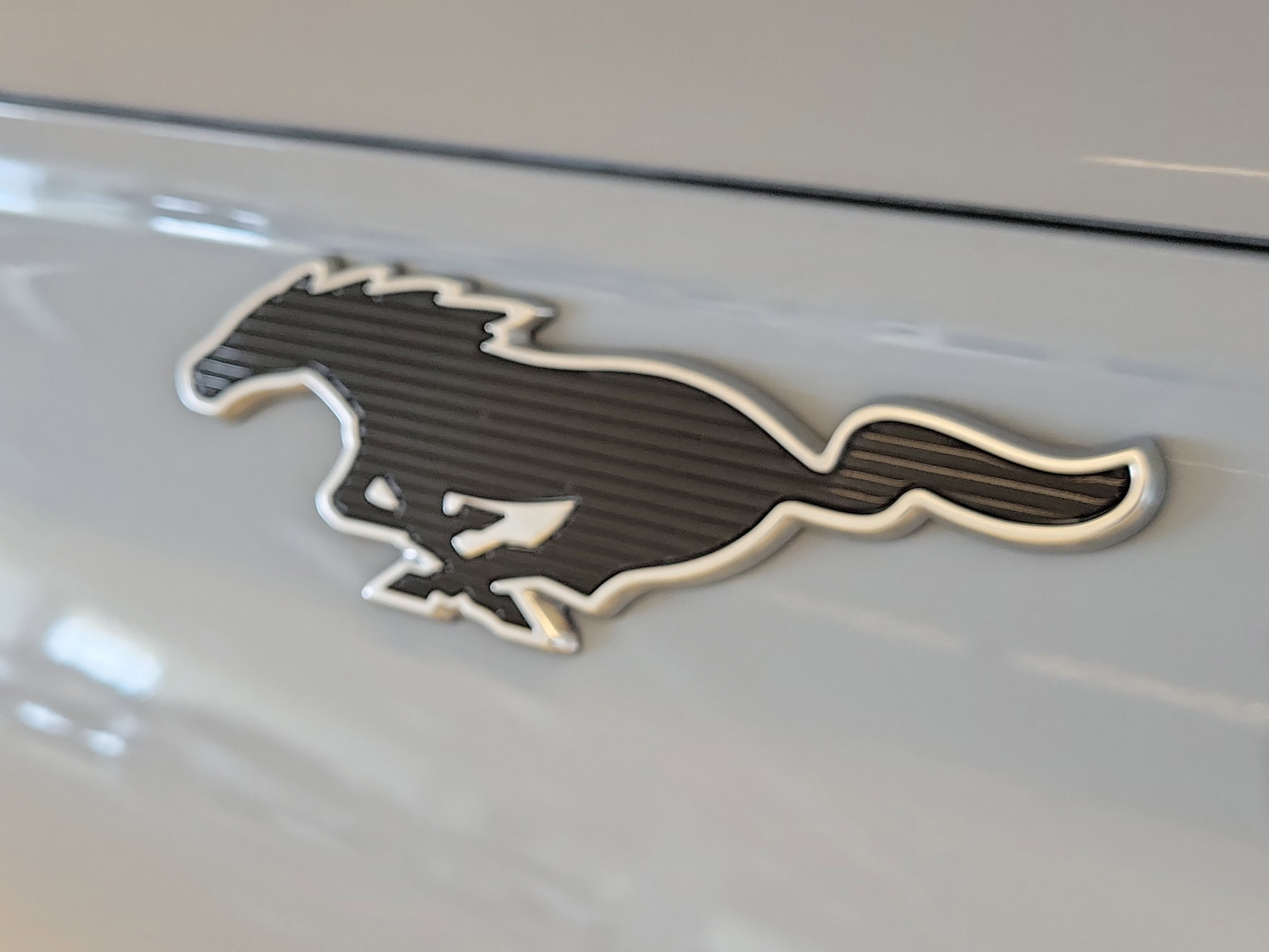 Used 2024 Gray Metallic Ford Select image 10