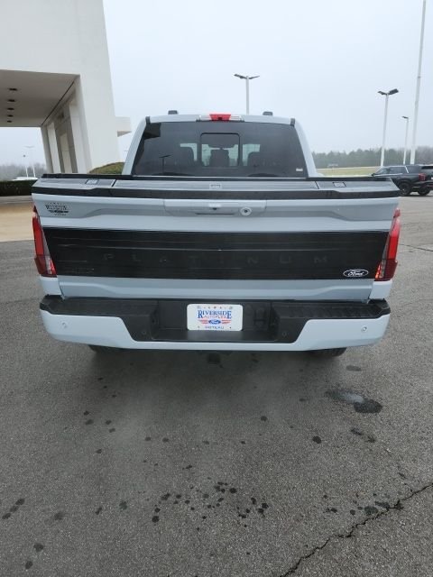 2025 Ford F-150 Platinum - Photo 23