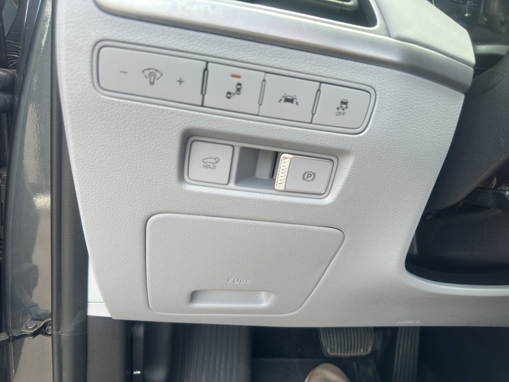 Used 2022 Rainforest Hyundai SEL image 9