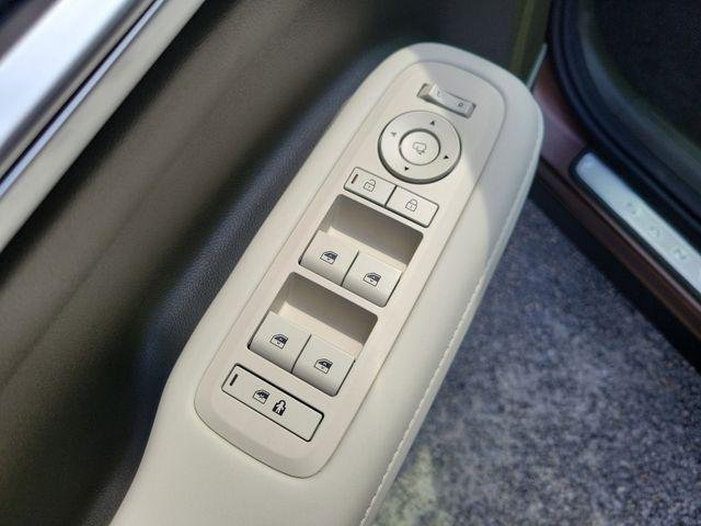 New 2025 Earthy Brass Matte Hyundai Calligraphy image 58