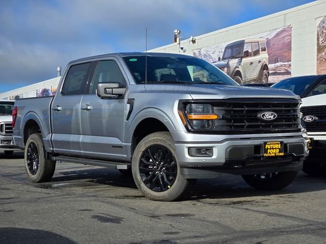 New 2025 Iconic Silver Metallic Ford XLT image 1