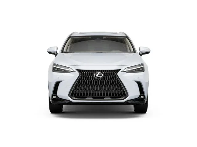 2026 Lexus NX 450h+ Luxury - Photo 17