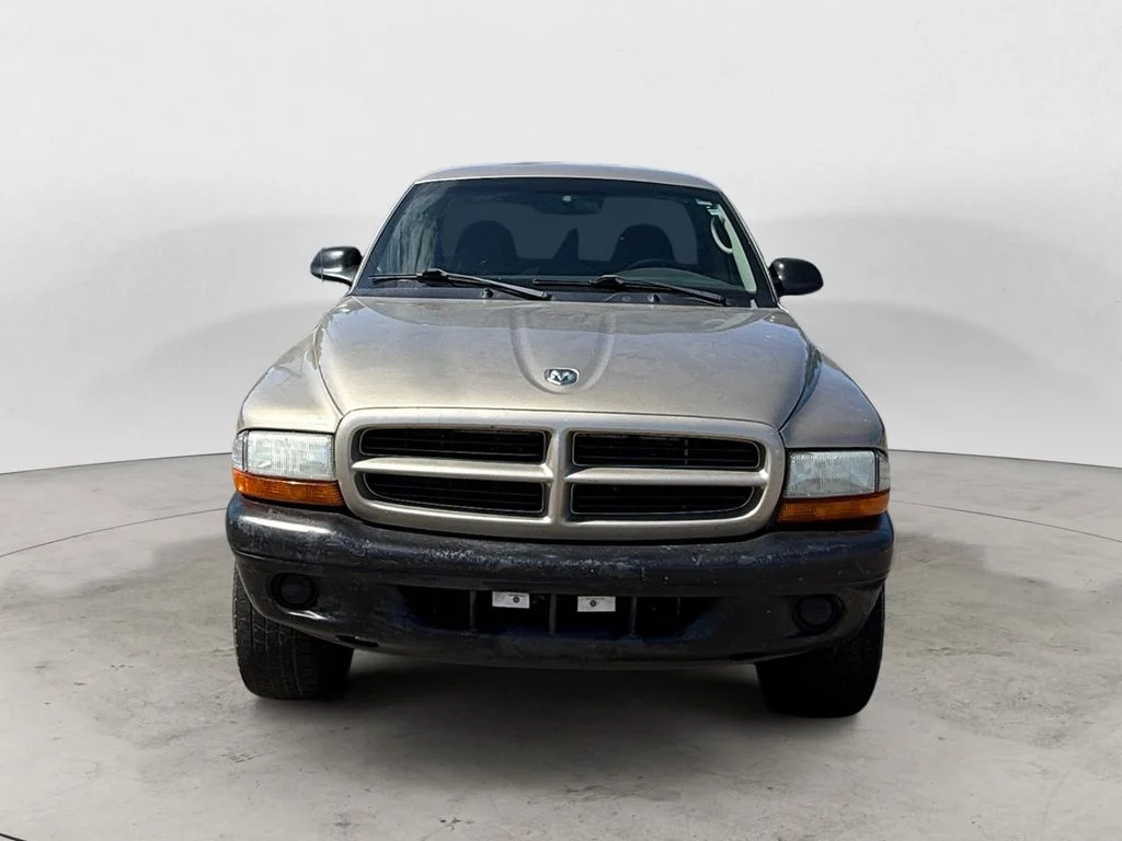 Used 2003 Beige Dodge Base image 8