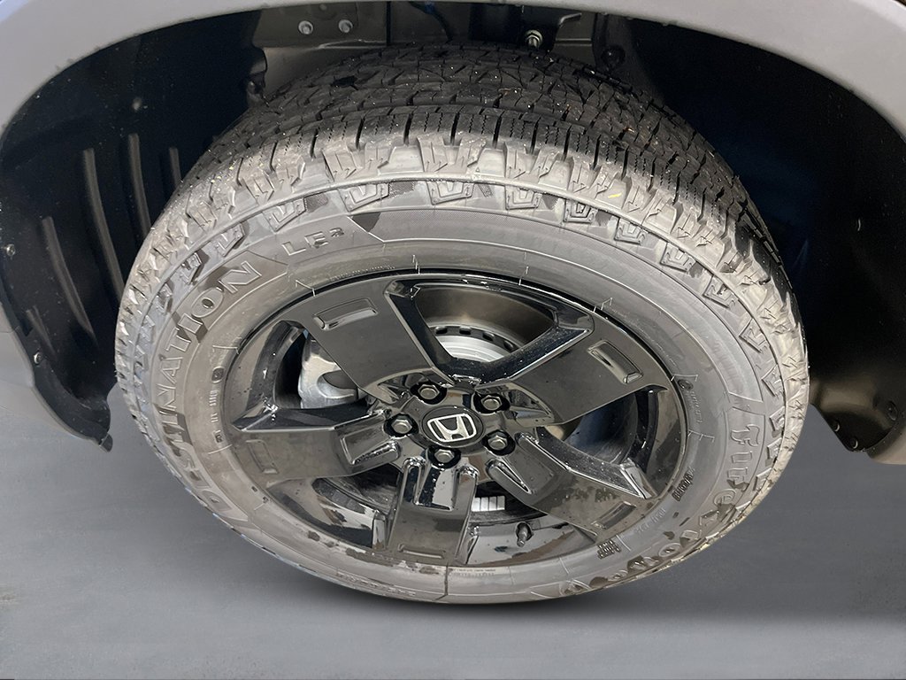 New 2026 Crystal Black Pearl Honda Black Edition image 11