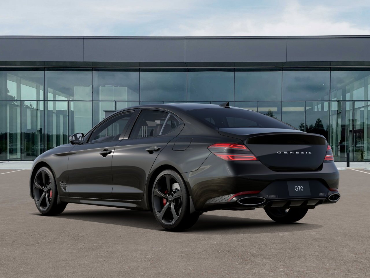 New 2027 Vik Black Genesis Standard image 6