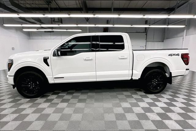 2025 Ford F-150 Platinum - Photo 13