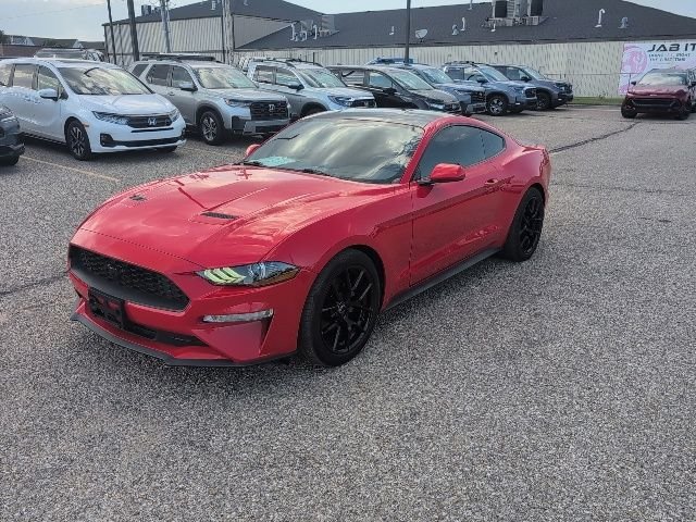 Used 2019 Red Ford EcoBoost image 13
