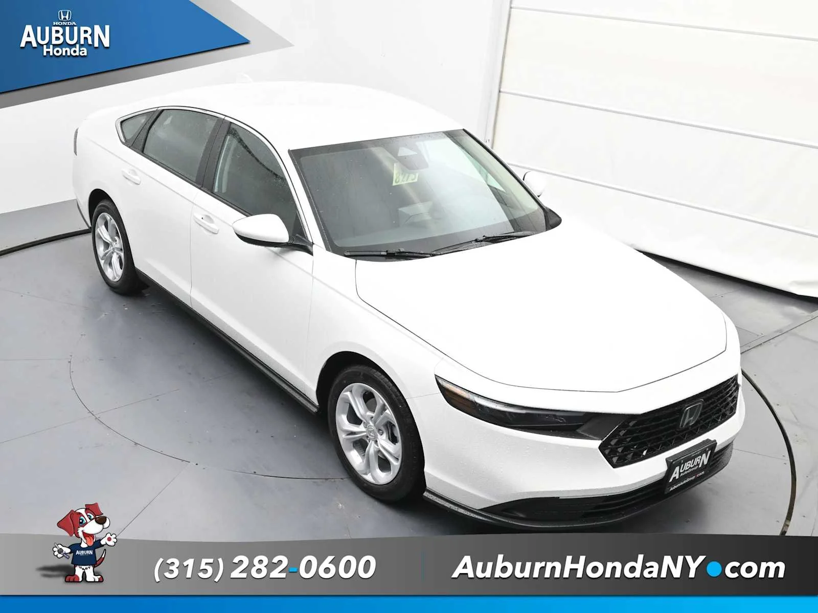 New 2025 Platinum White Pearl Honda LX image 24