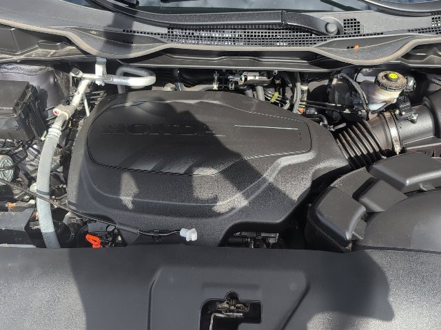 Used 2024 Gray Honda EX-L image 20