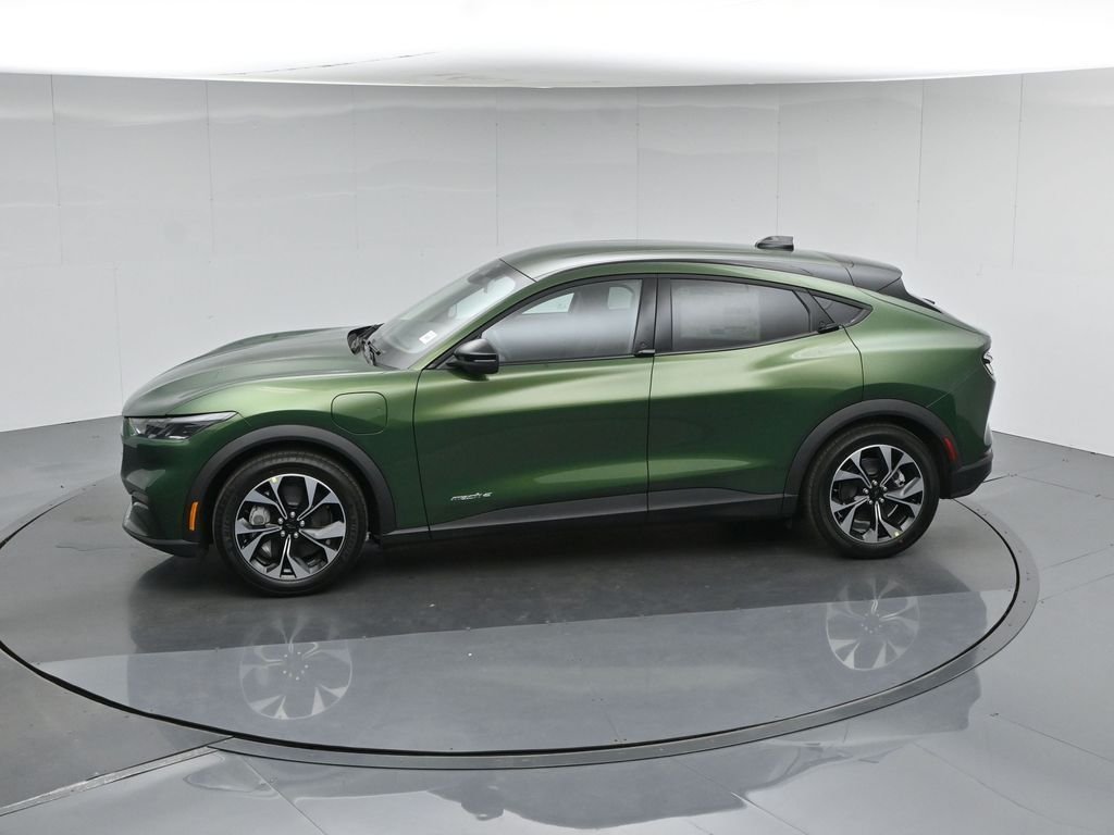 New 2026 Eruption Green Metallic Ford Select image 41
