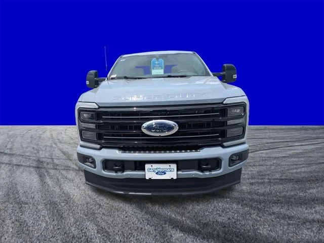 New 2026 Gray Ford Platinum image 9