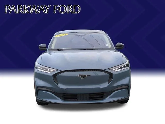 Used 2023 Blue Ford California Route 1 image 8