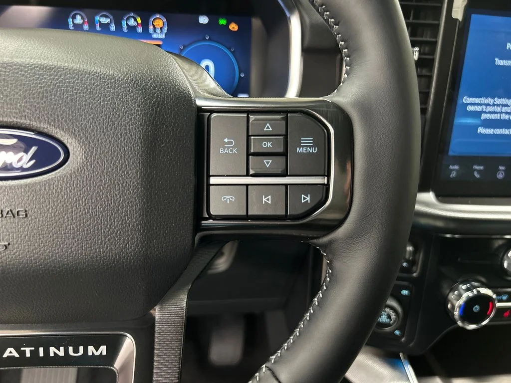 New 2026 Black Ford Platinum image 21